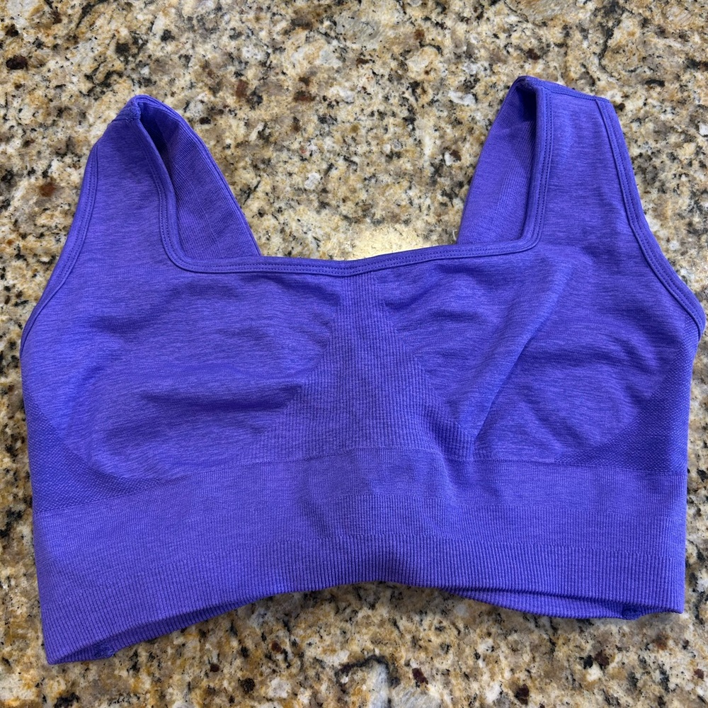 BuffBunny Purple Seamless Sports Bra